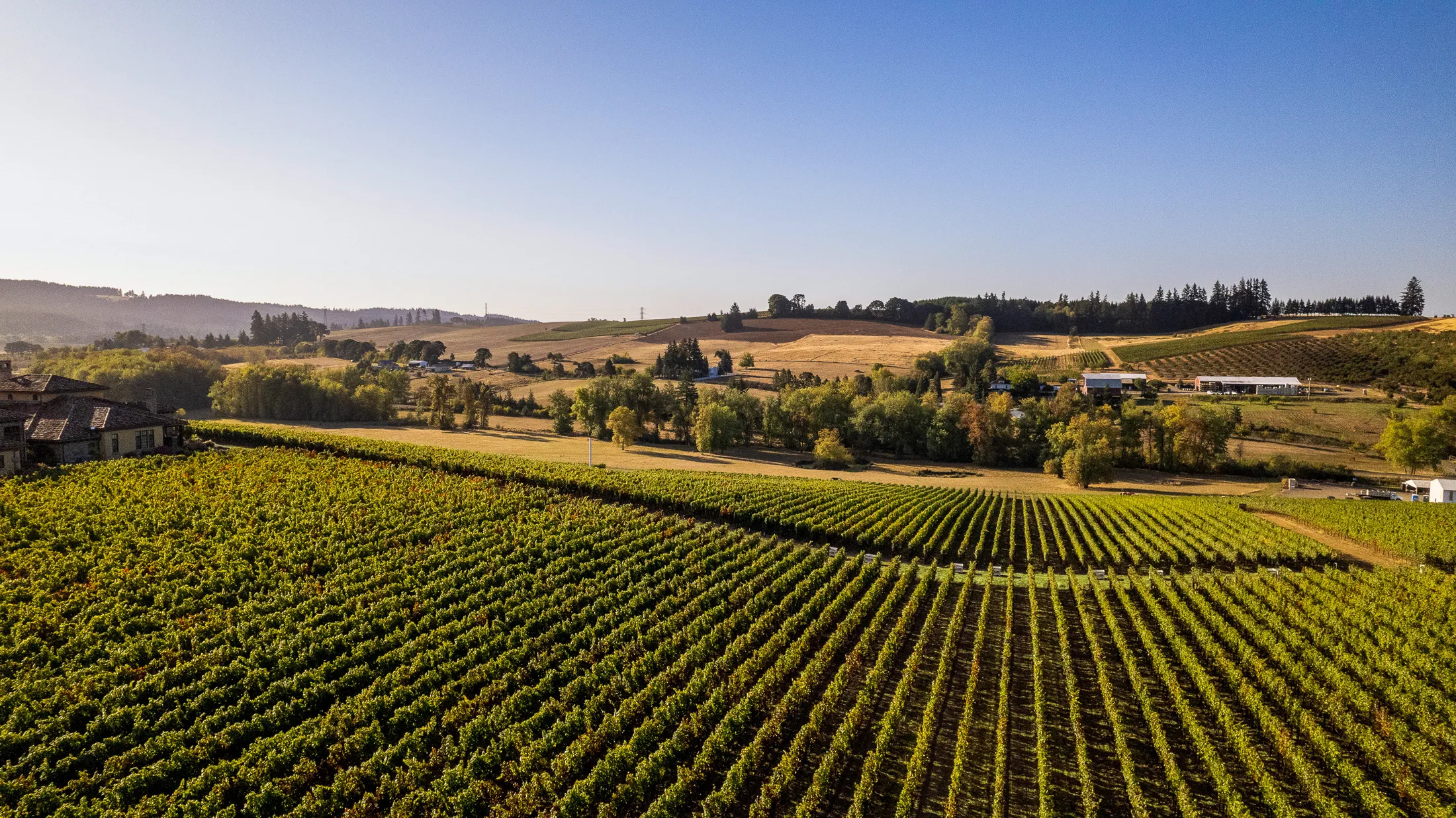 Roco Winery